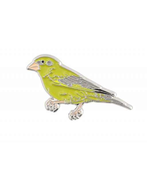 Nozīmītes Zaļžubīte